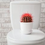 痔瘡有哪3種？年齡增長有機會引發痔瘡！