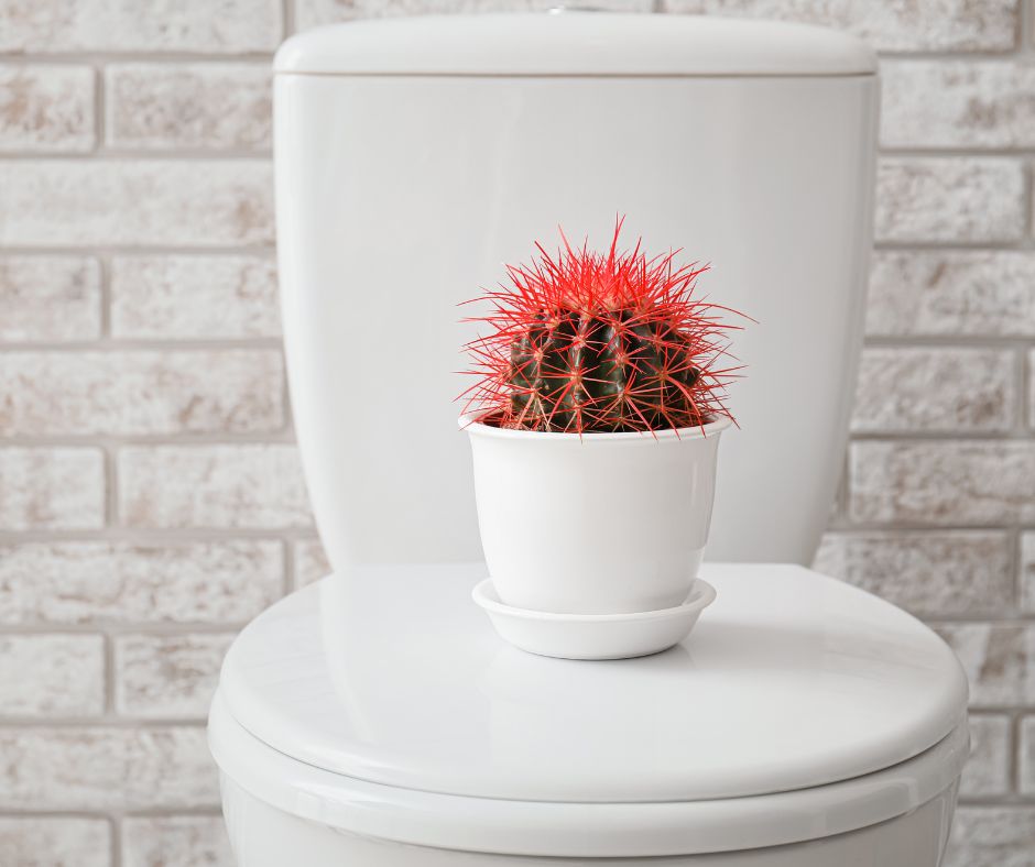 痔瘡有哪3種？年齡增長有機會引發痔瘡！